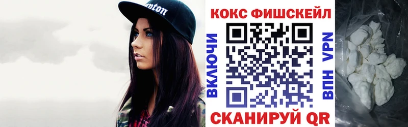 где можно купить   Игарка  COCAIN Fish Scale 