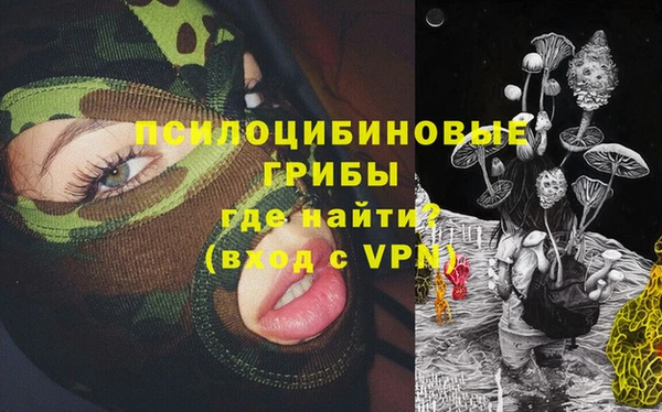 мяу мяу мука Ростов
